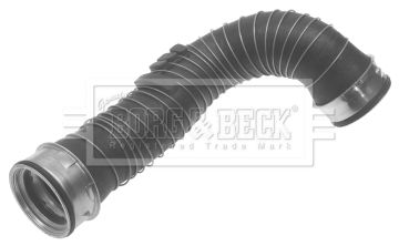 BTH1340_222492.JPG