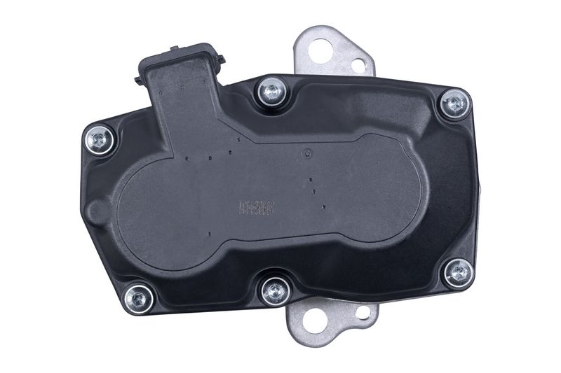 HELLA 6NU 014 864-431 EGR Valve