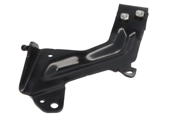 Halter, Kühlergitter