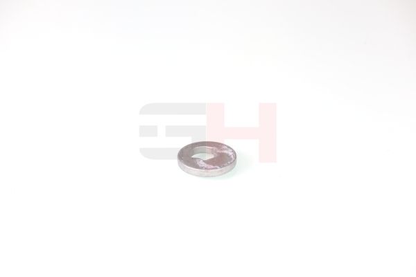 caster shim, sillatala, GH GH-391582
