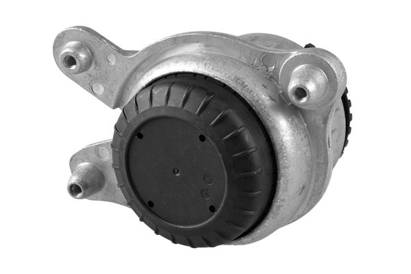 TEDGUM TED38185 Mounting, engine
