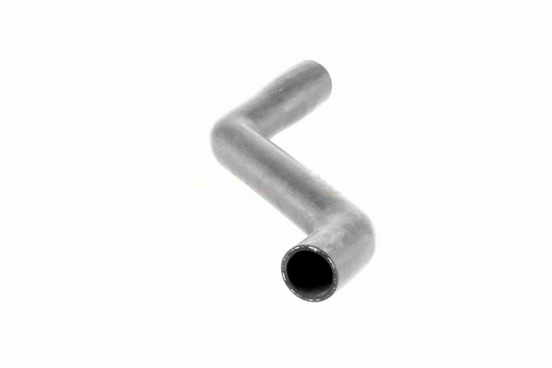 VAICO V40-1162 Radiator Hose