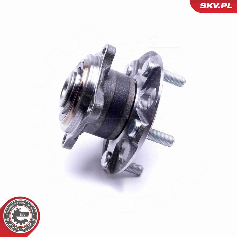 ESEN SKV 29SKV417 Wheel Bearing Kit