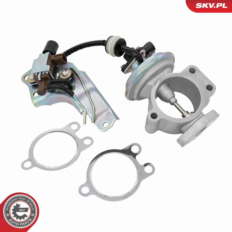 ESEN SKV 14SKV315 EGR Valve