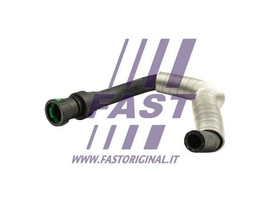 FT61135_2_1.JPG