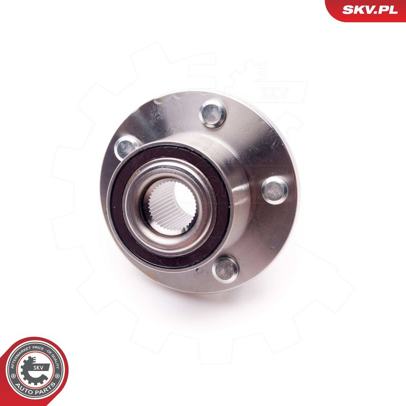 Rattalaagrikomplekt, ESEN SKV 29SKV165