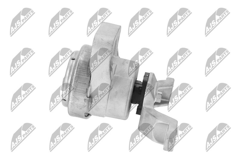 Paigutus, Mootor, NTY ZPS-FR-033