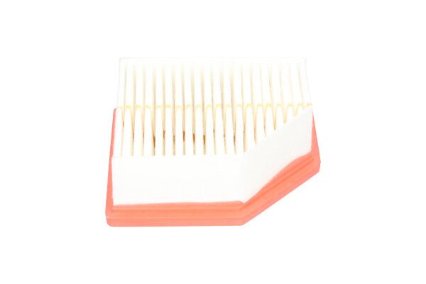 Kavo Parts FAF-10021 Air Filter