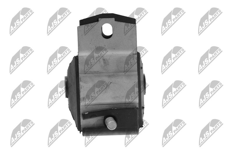 Paigutus, Mootor, NTY ZPS-CH-035