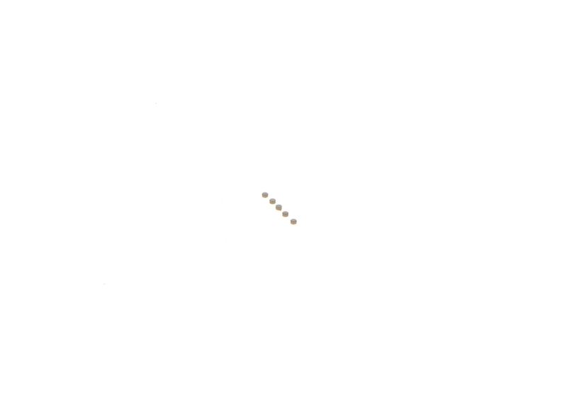 BOSCH F00ZC99747 Repair Kit, common rail system