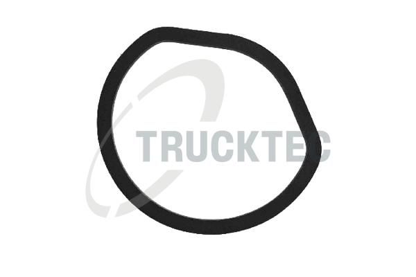 TRUCKTEC AUTOMOTIVE 02.18.052 - Alyvos filtro korpuso tarpinė