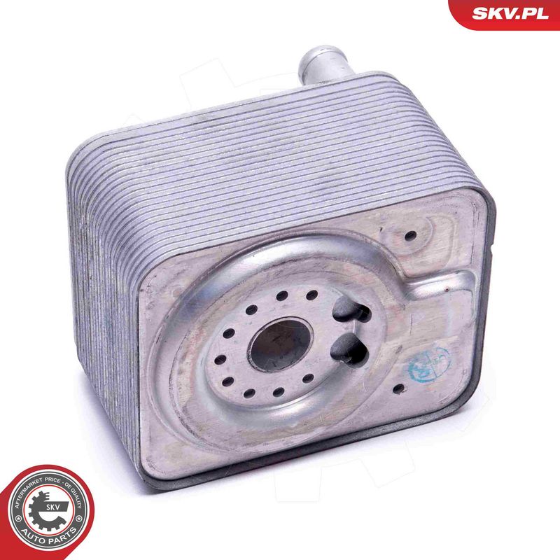 OEM код товара: 038 117 021 A