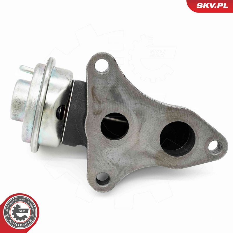 EGR-klapp, ESEN SKV 14SKV263