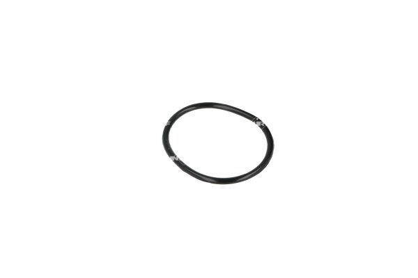 NRF 775087 Coolant Flange