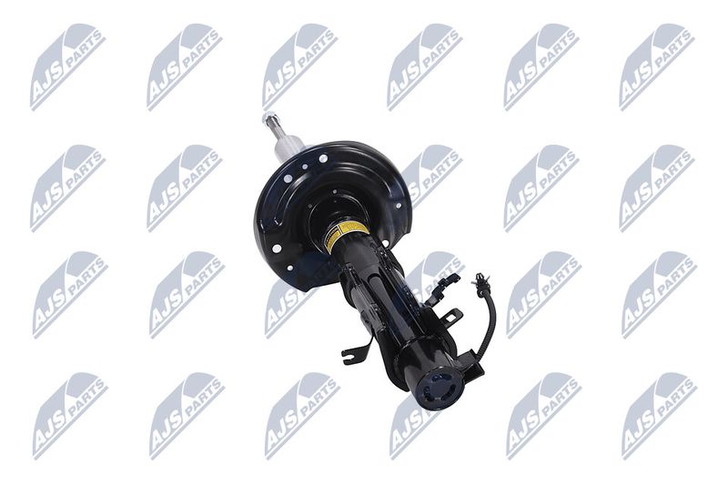 Amort, NTY A-CH-114