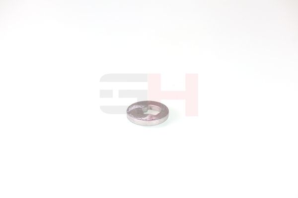 caster shim, sillatala, GH GH-391582