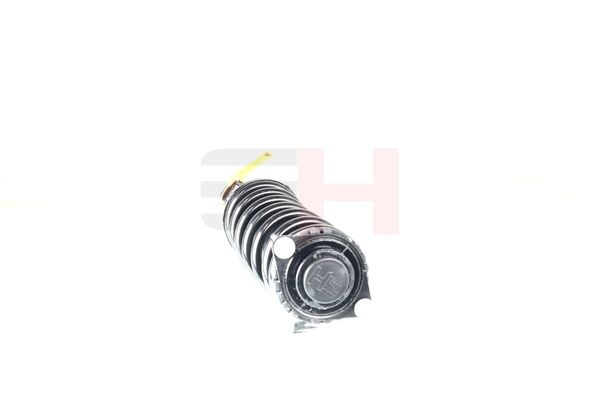 Vedruamort, GH GH-334403C01