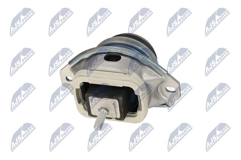 Paigutus, Mootor, NTY ZPS-LR-019