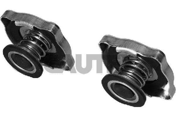 Tapa, radiador CAUTEX 954076