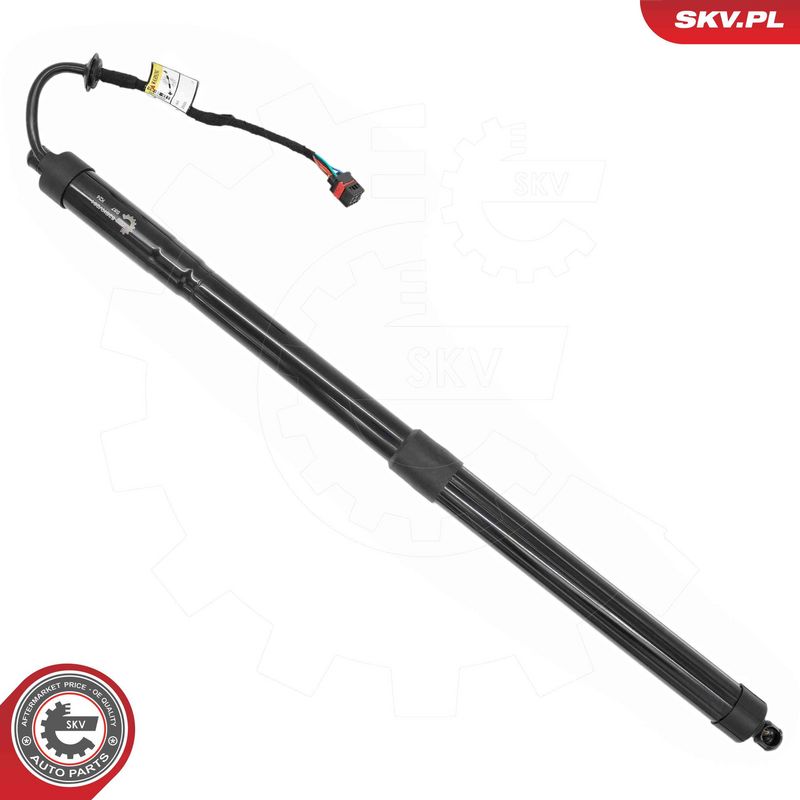 ESEN SKV 52SKV261 Electric Motor, tailgate