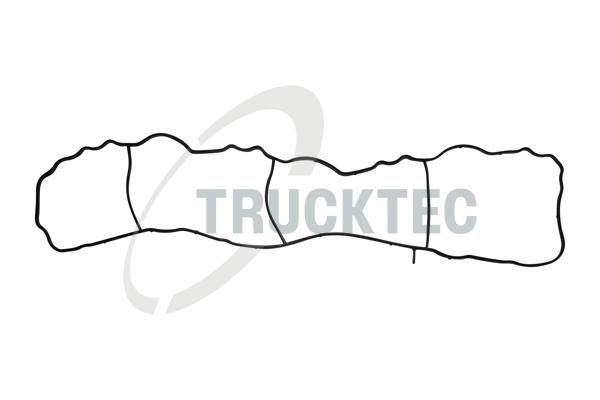 TRUCKTEC AUTOMOTIVE 02.16.013 - Įsiurbimo kolektoriaus tarpinė