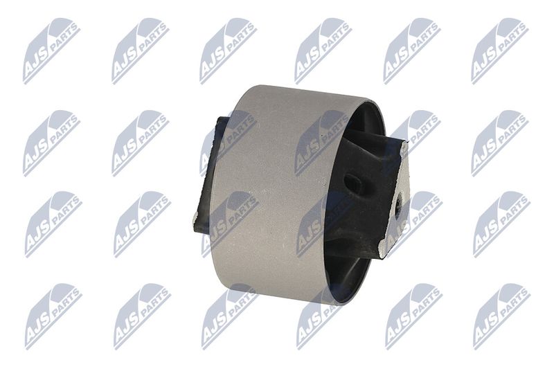 Paigutus, Mootor, NTY ZPS-CH-039