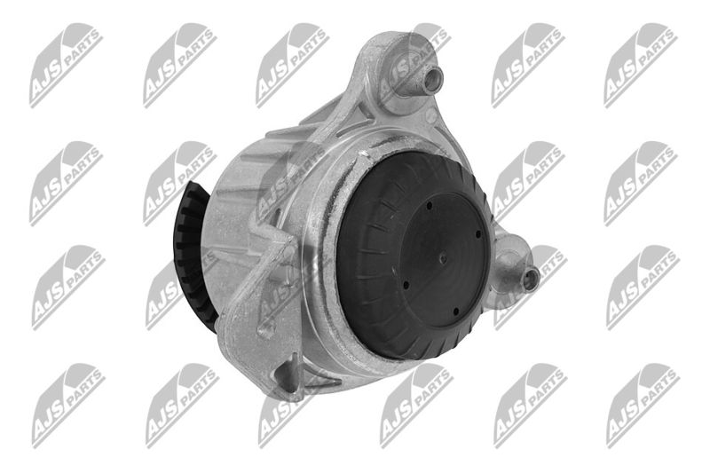 Paigutus, Mootor, NTY ZPS-ME-066