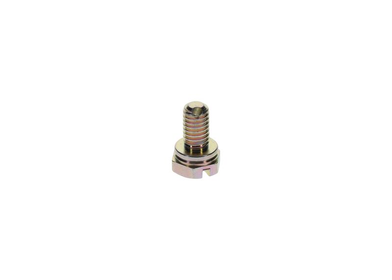 Surub 1 413 453 025 BOSCH