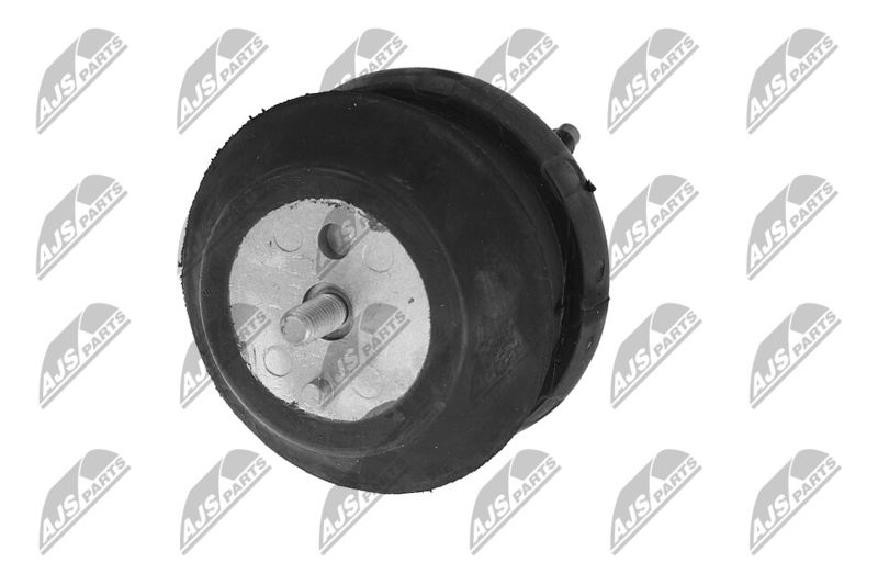 Paigutus, Mootor, NTY ZPS-CH-070