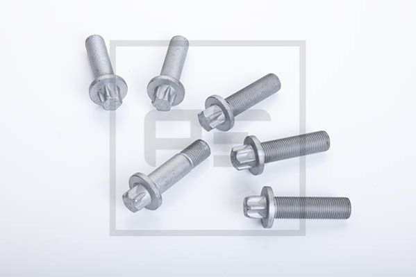 sada šroubů třmene brzdy SAF, SCHMITZ, M16x1,5x57mm, torx 296.004-00A