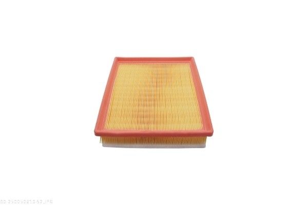 AUTOMEGA 250050610 Air Filter