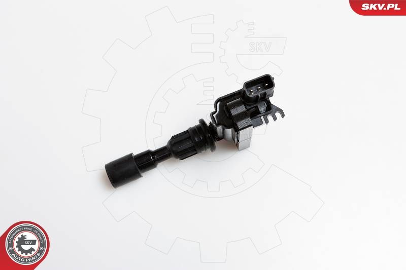 ESEN SKV 03SKV180 Ignition Coil