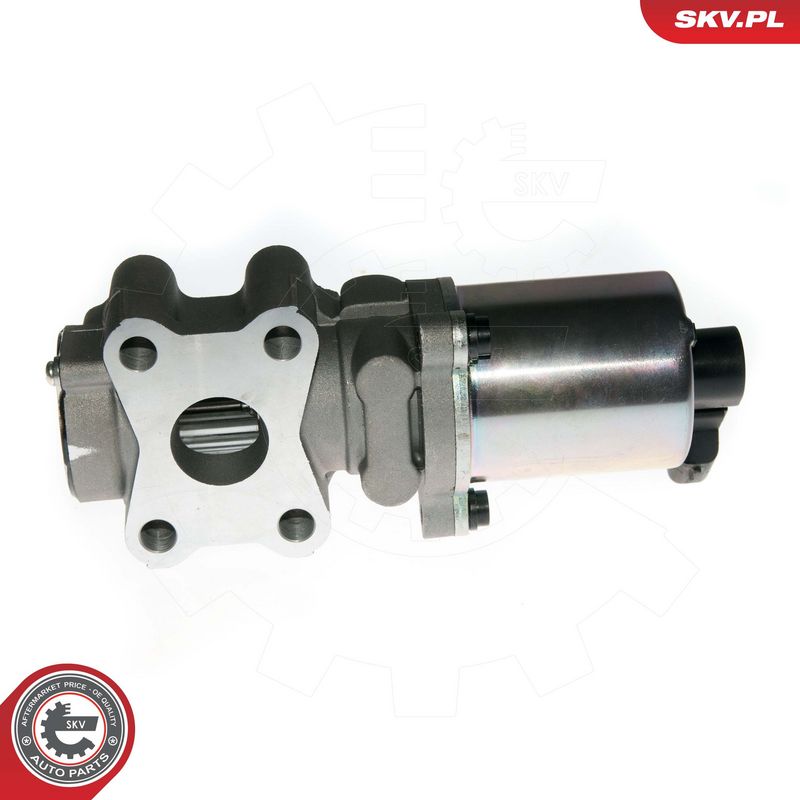 EGR-klapp, ESEN SKV 14SKV088