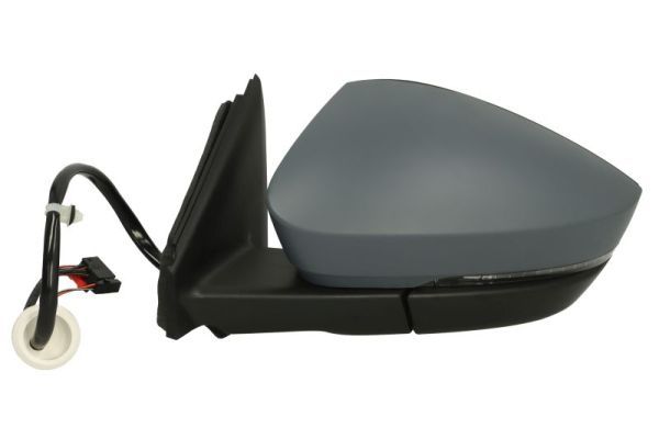 BLIC 5402-43-1926328P Exterior Mirror