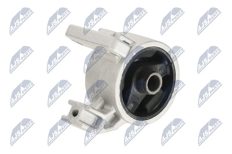 Paigutus, Mootor, NTY ZPS-KA-318