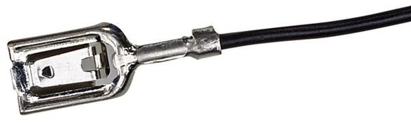 K1178.JPG