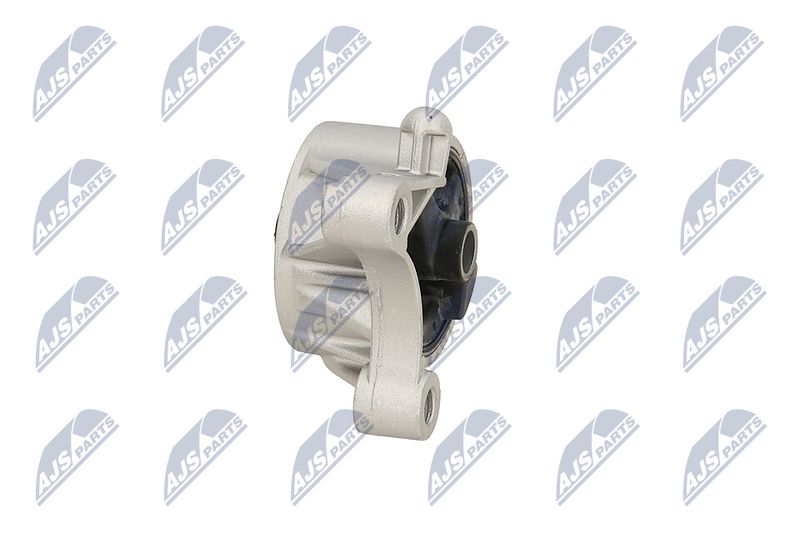 Paigutus, Mootor, NTY ZPS-PL-093