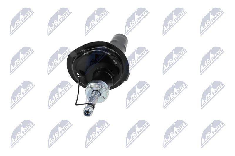 Amort, NTY A-CT-020