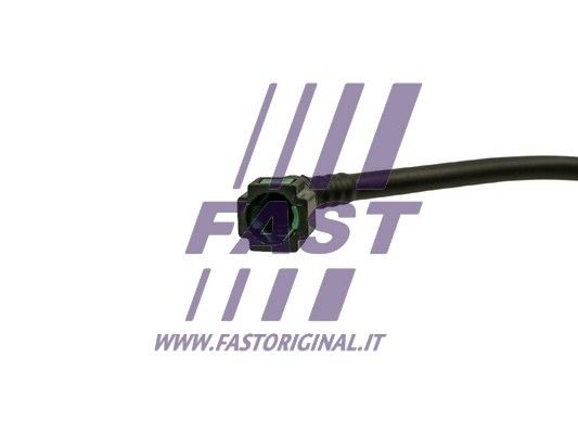 FT39559_2_1.JPG