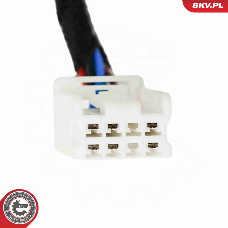 ESEN SKV 52SKV295 Electric Motor, tailgate
