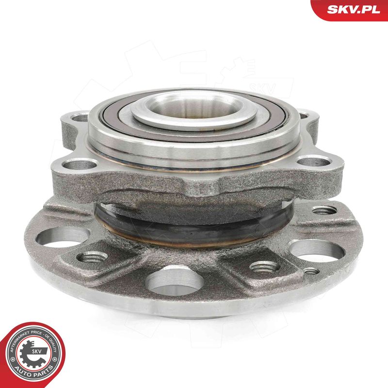 ESEN SKV 29SKV640 Wheel Bearing Kit