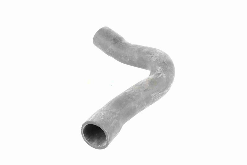 VAICO V10-2909 Charge Air Hose