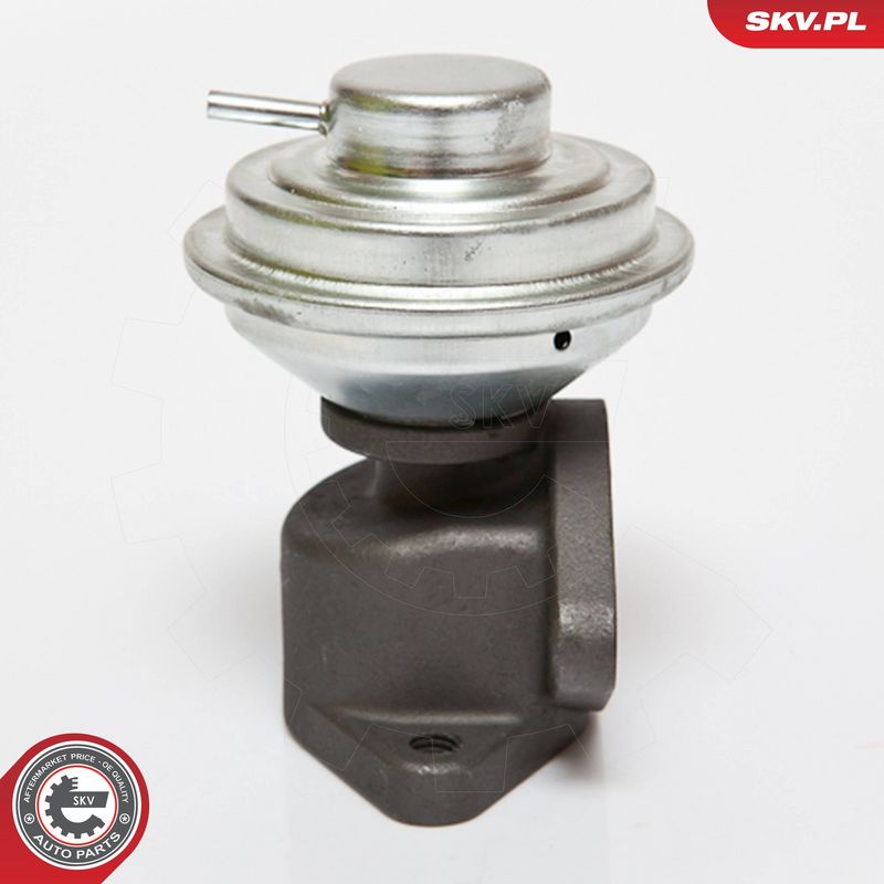 ESEN SKV 14SKV052 EGR Valve