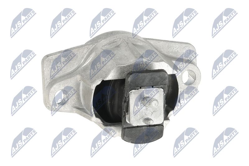 Paigutus, Mootor, NTY ZPS-LR-015