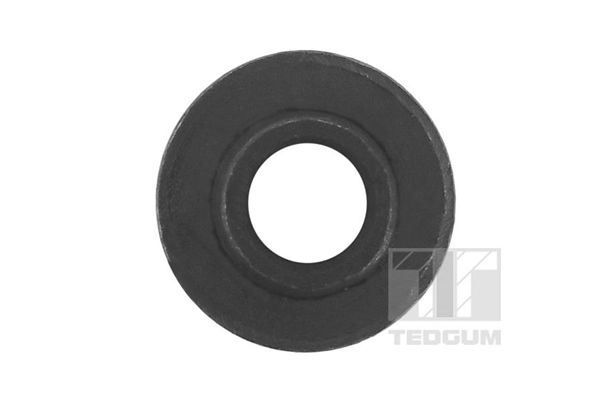 TEDGUM 01367165 Mounting, leaf spring