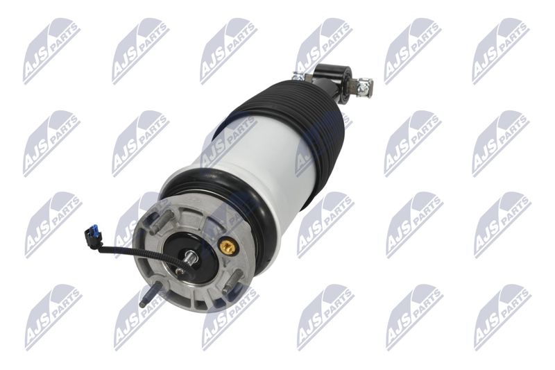 Amort, NTY A-CH-098