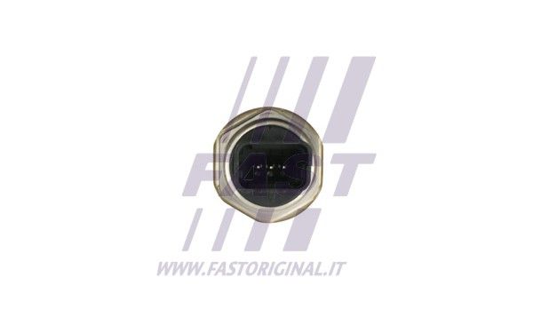 FT80079_3_1.JPG