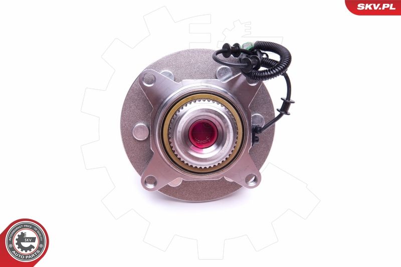 ESEN SKV 29SKV361 Wheel Bearing Kit