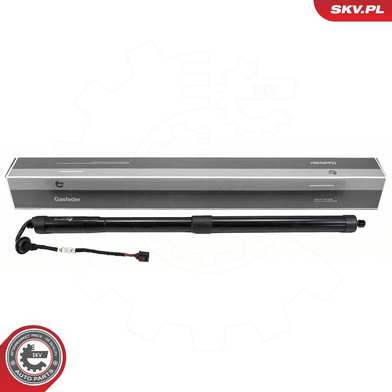 Elektrimootor, tagaluuk, ESEN SKV 52SKV169