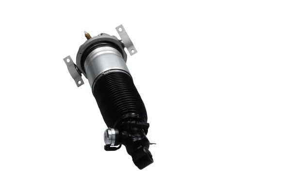 Kavo Parts SAS-10043 Air Suspension Strut